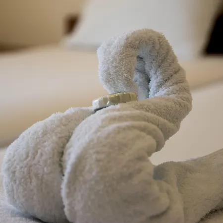 Delfini 3* Aszproválta