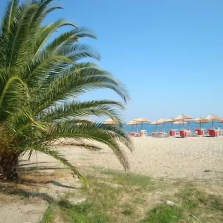 Delfini Apartahotel