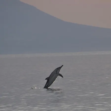 شقة فندقية Delfini أسبروبالتا