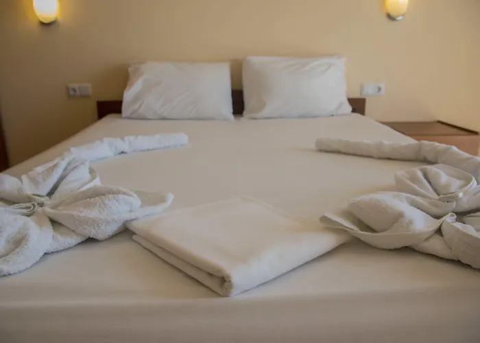 Delfini Appart hôtel 3*