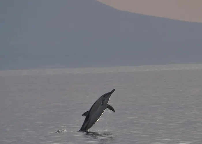 Appart hôtel Delfini Asprovalta